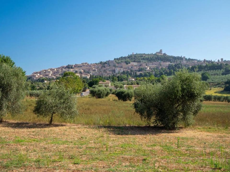 Region [summer] (>5 km)