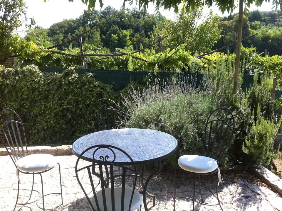 Patio / Balcony