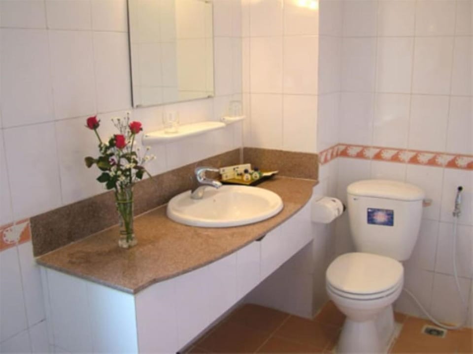 Shower, hair dryer, slippers, bidet