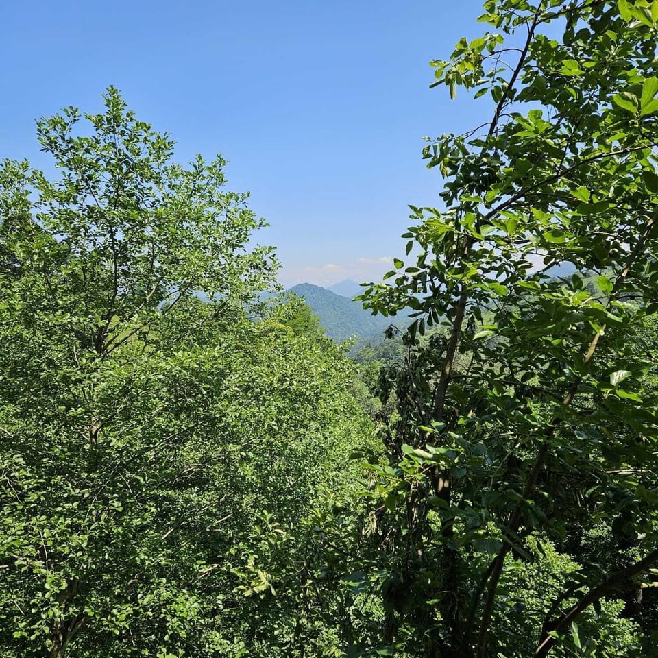 Double Room, Balcony, Mountain View | Terrace/patio