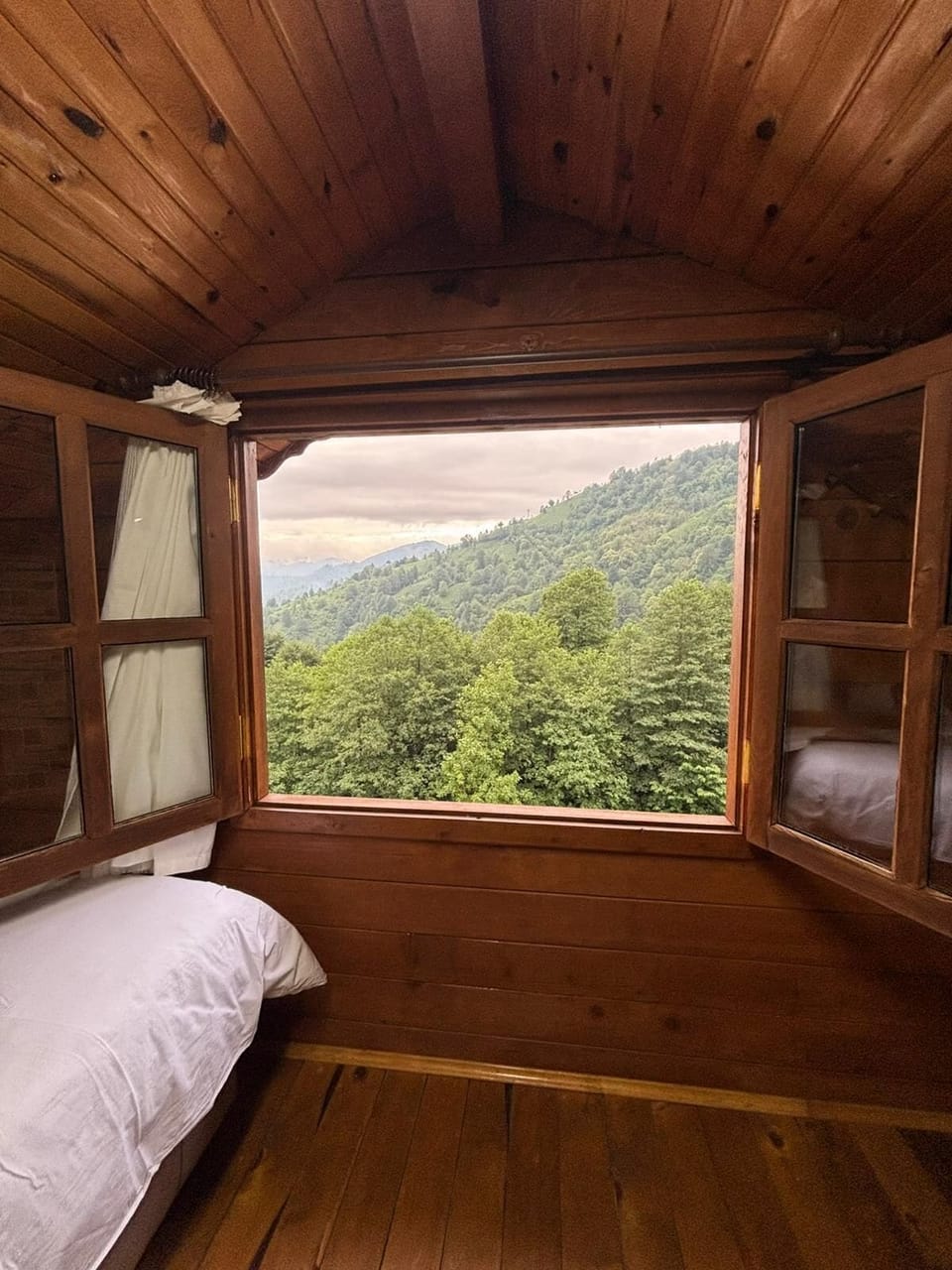 Basic Duplex, Mountain View | View from room