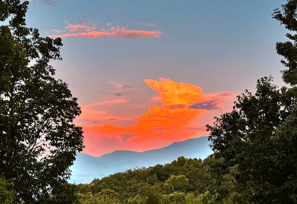 Sunset Views