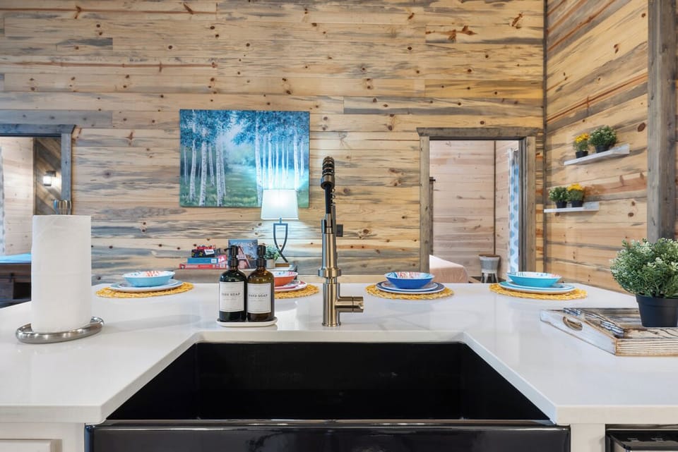 The kitchen sink of your dreams