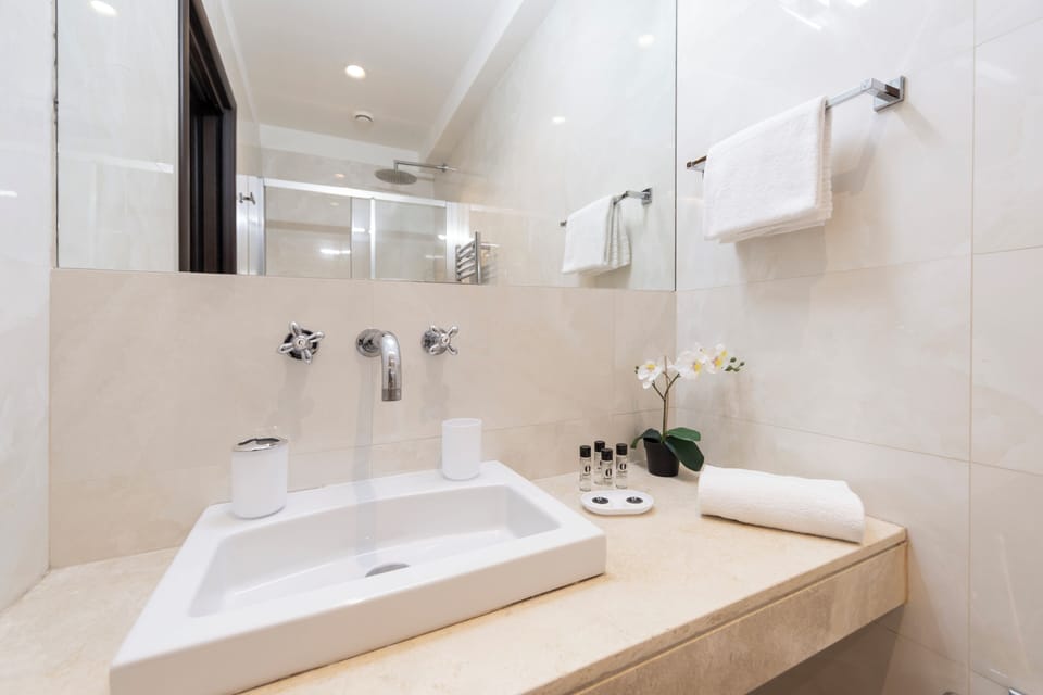 Family Room | Bathroom | Shower, rainfall showerhead, free toiletries, hair dryer