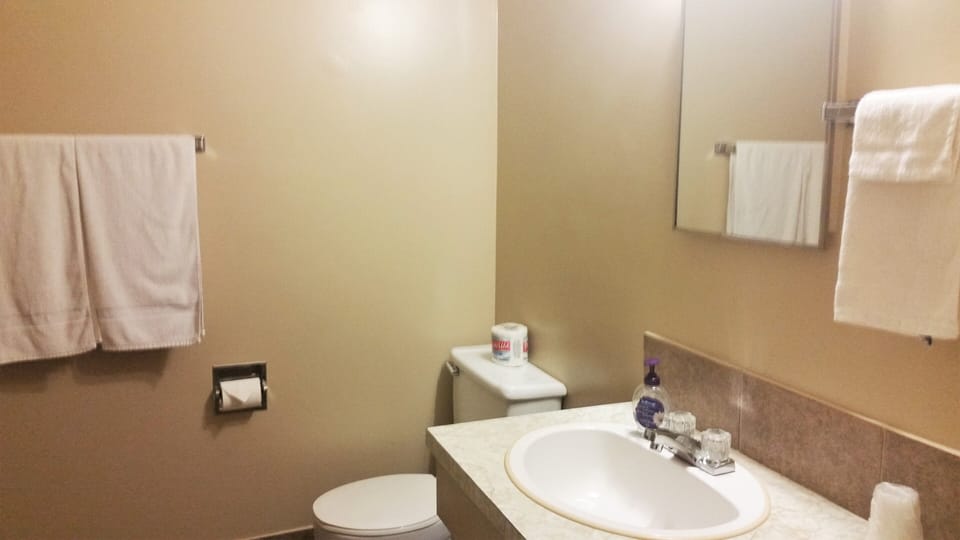 Deluxe Room, Multiple Beds, City View | Bathroom | Combined shower/tub, free toiletries, hair dryer, towels