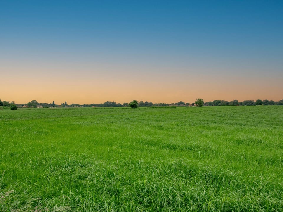 Immediate Surroundings [summer] (<1 km)