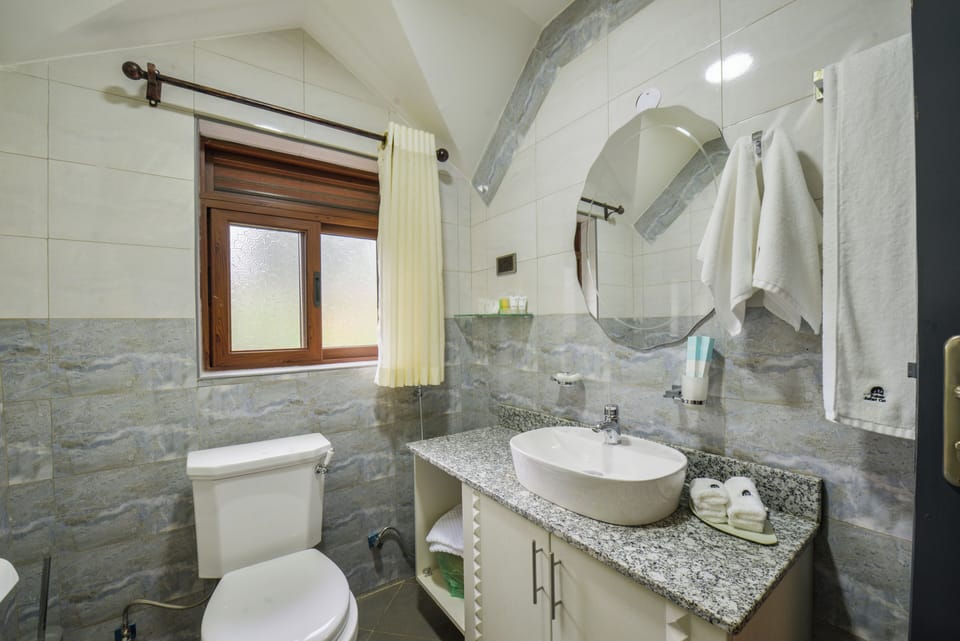 Deluxe Single Room, Garden View | Bathroom | Shower, rainfall showerhead, free toiletries, hair dryer