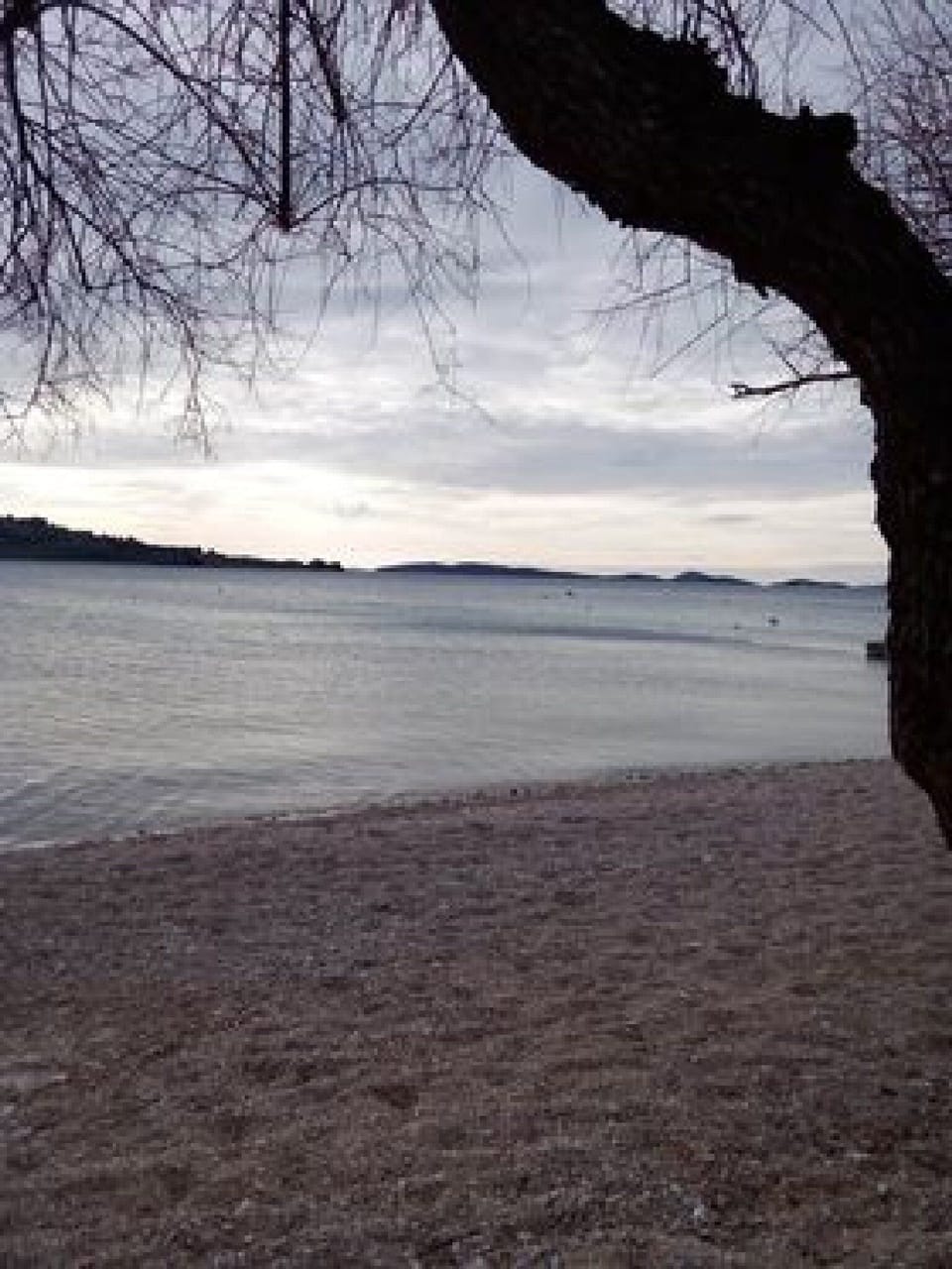 Apartment (Apartment Mijatovic - One Bedroom Apa) | Beach