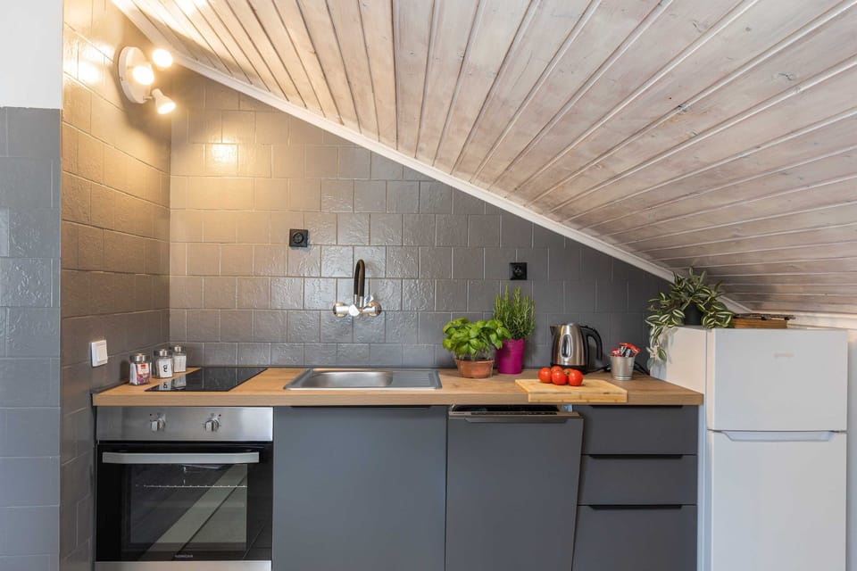 Apartment (Three Bedroom Apartment with Terrace) | Private kitchen | Fridge