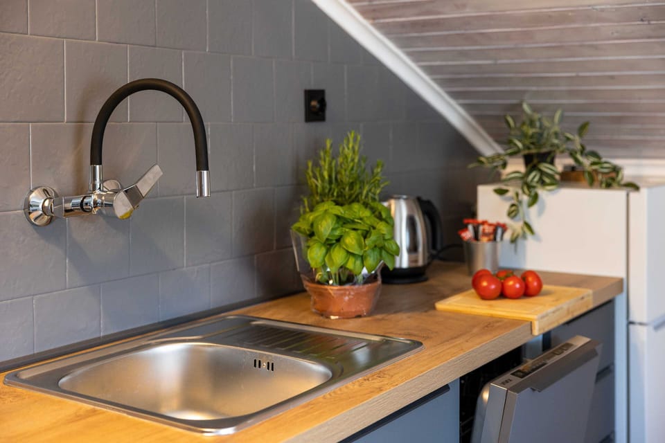 Apartment (Three Bedroom Apartment with Terrace) | Private kitchen | Fridge