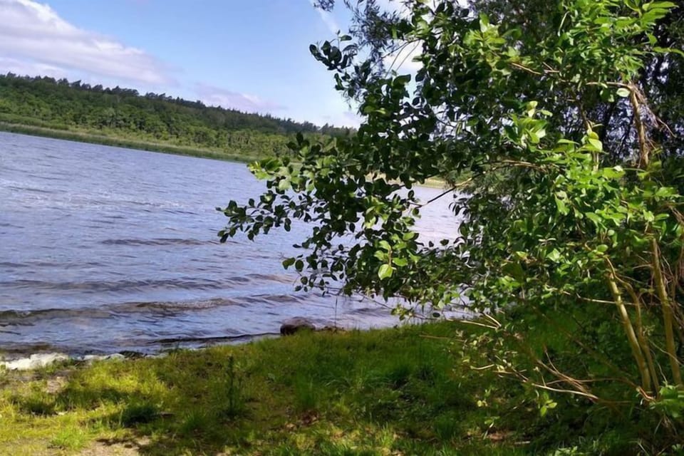 Immediate Surroundings [summer] (<1 km)