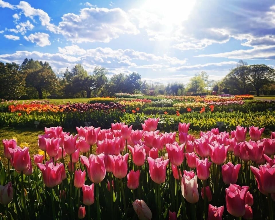 Arboretum Volčji Potok
