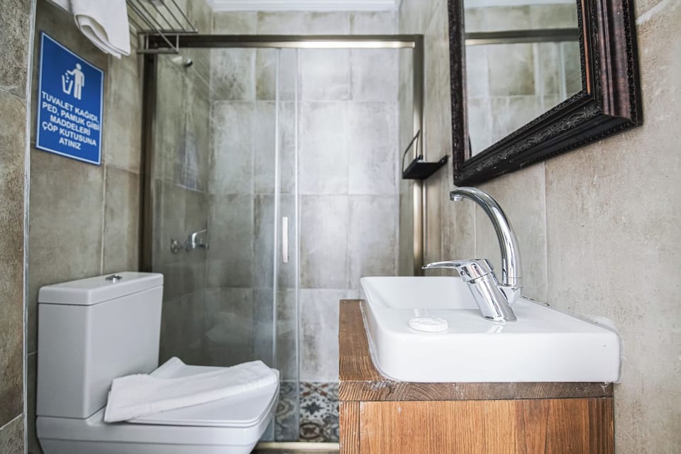 Standard Double Room | Bathroom | Shower, towels, soap, shampoo