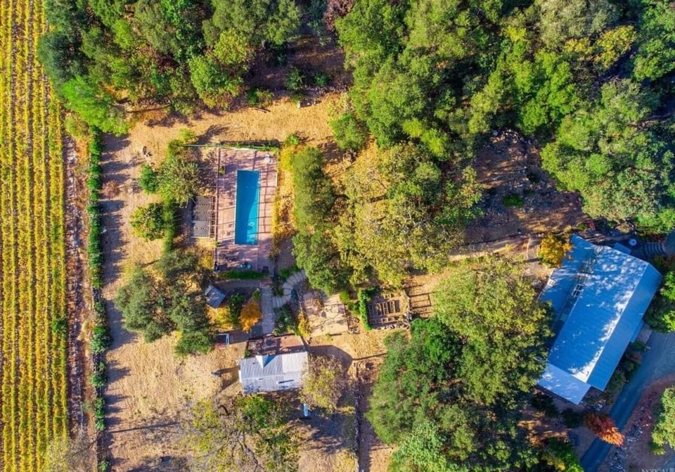 Pool with the original cabin nearby (bottom). Main house (right)