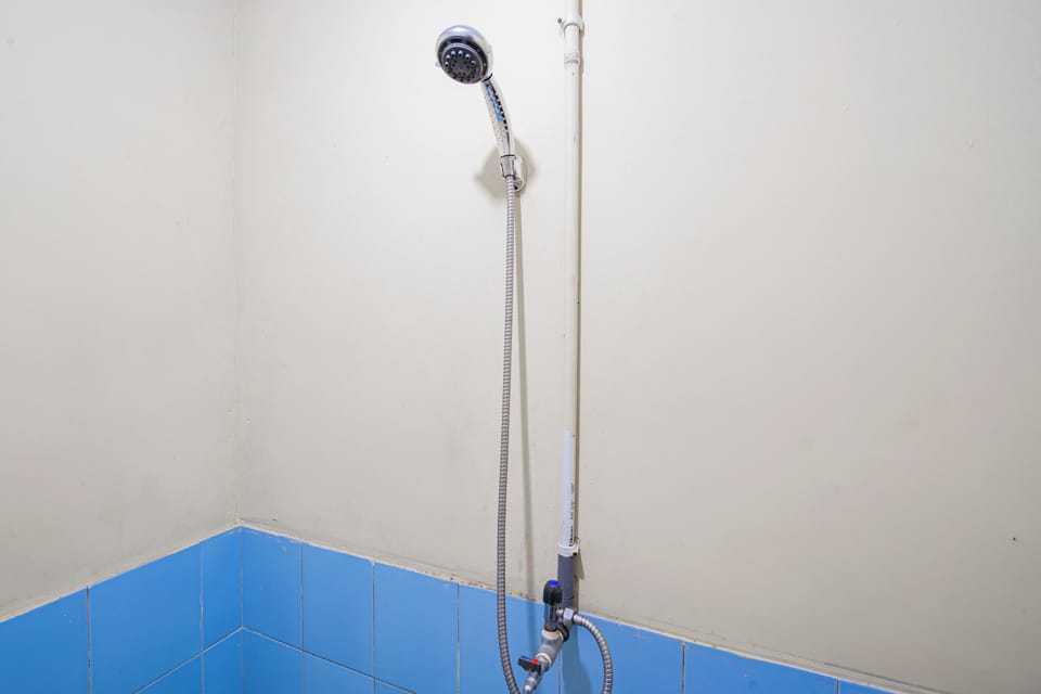 Deluxe Suite | Bathroom | Shower, towels, soap