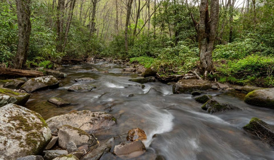 White Oak Creek