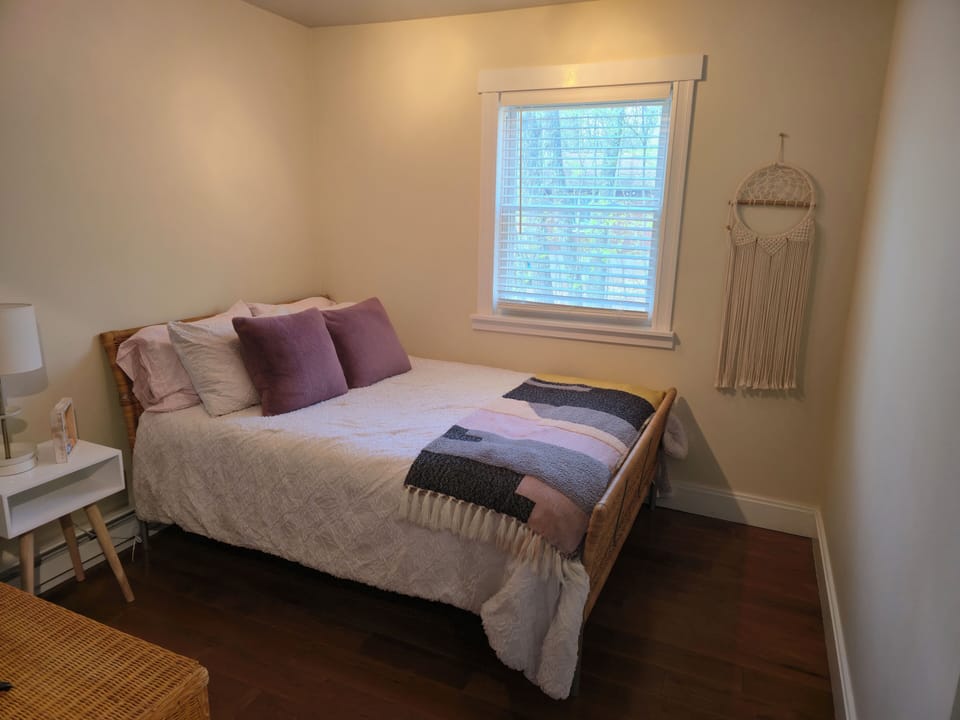 Downstairs bedroom 