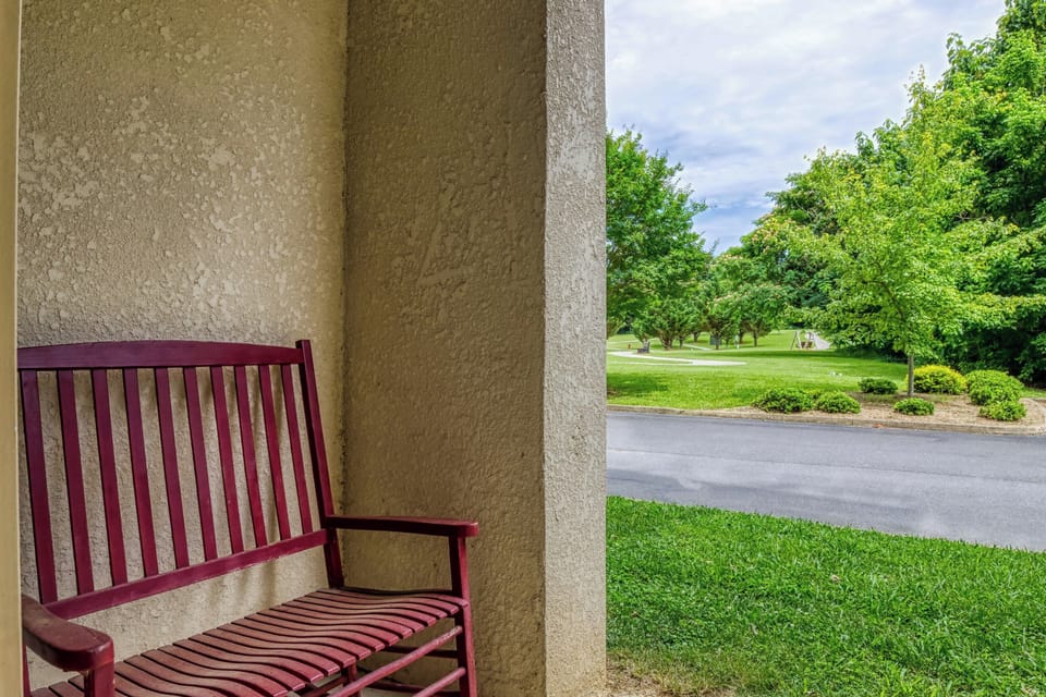 Outdoor Patio Chair, Grass, Trees, Bushes, Outdoor Patio, Trees, Grass, Road.