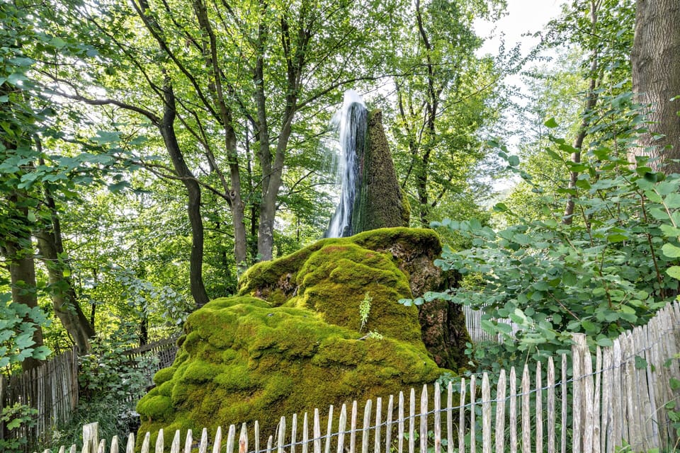 Miscellaneous
