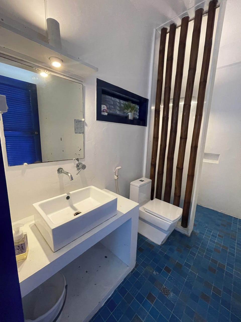 Shower, bidet, towels, toilet paper
