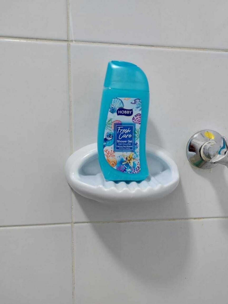 Deluxe Apartment, City View | Bathroom | Shower, rainfall showerhead, free toiletries, slippers