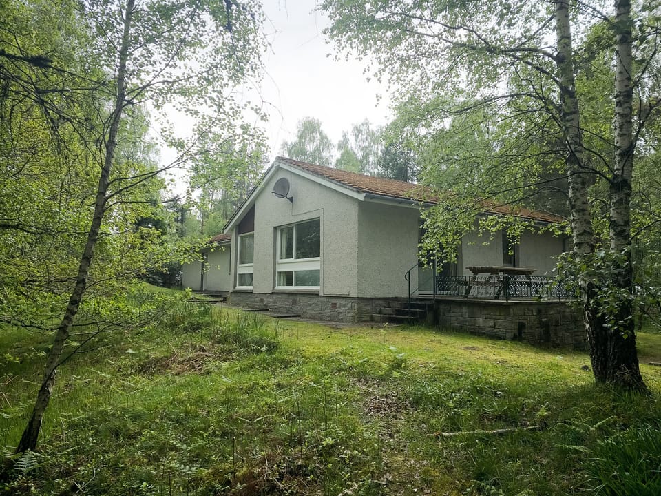 The property is nestled amongst trees