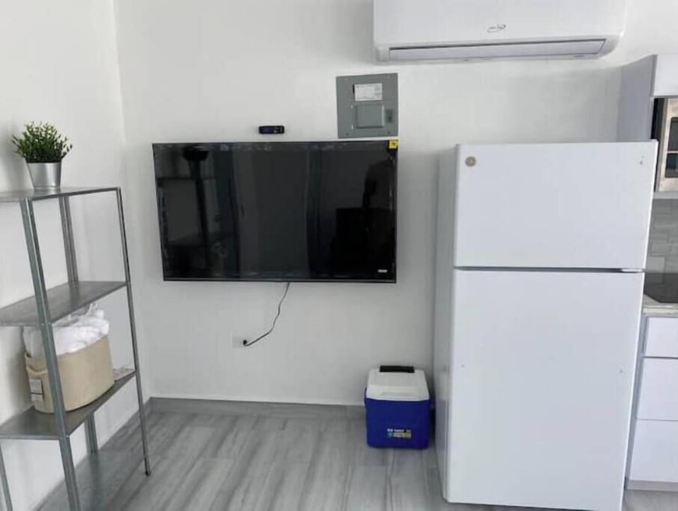 Television