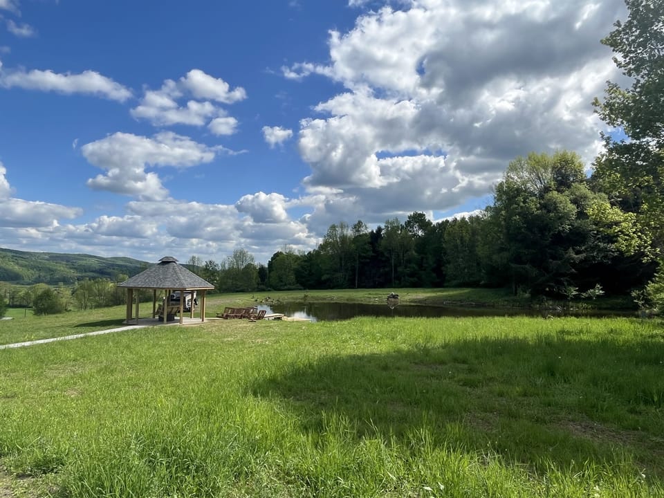 Fire pit under the gazebo and pond