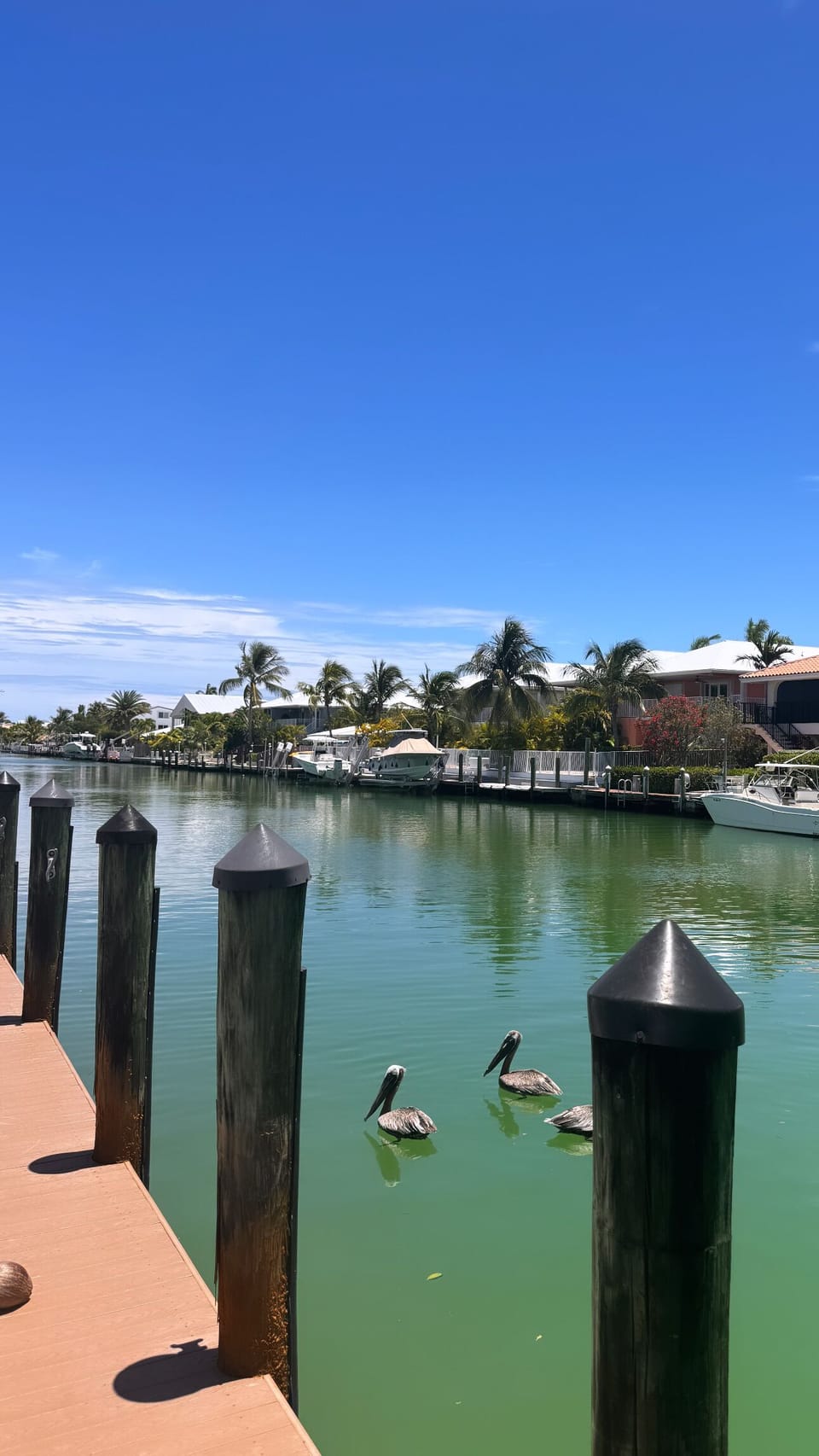 Dock