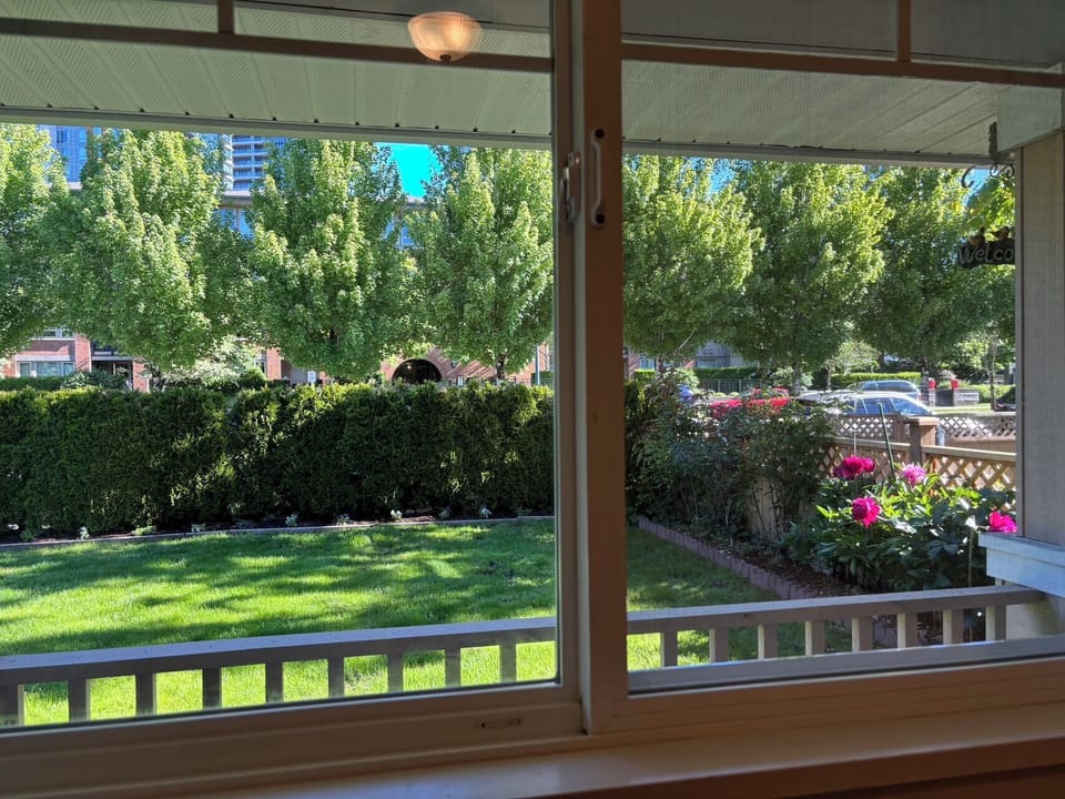 Bedroom window 