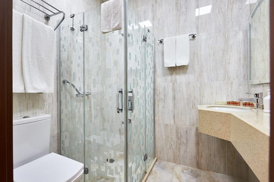 Shower, free toiletries, hair dryer, bathrobes
