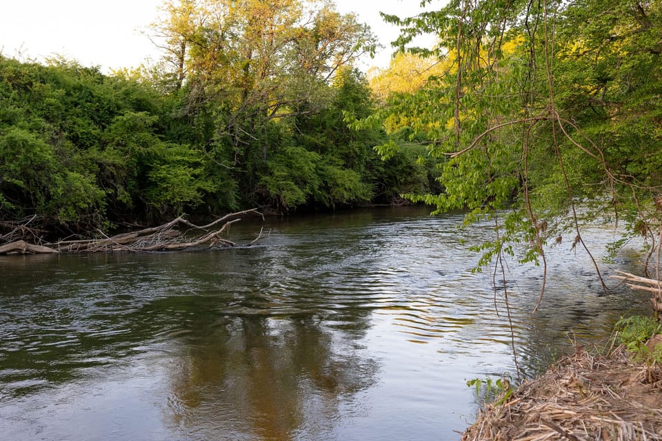 The property borders the French Broad River.  It is just a short walk away.  