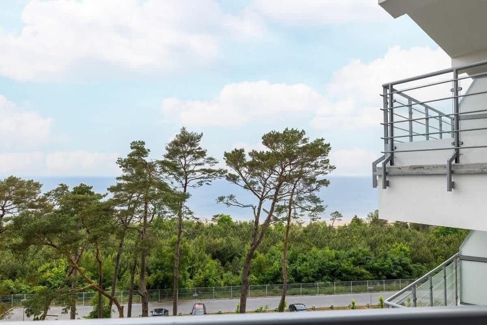 View of pine trees and horizon
