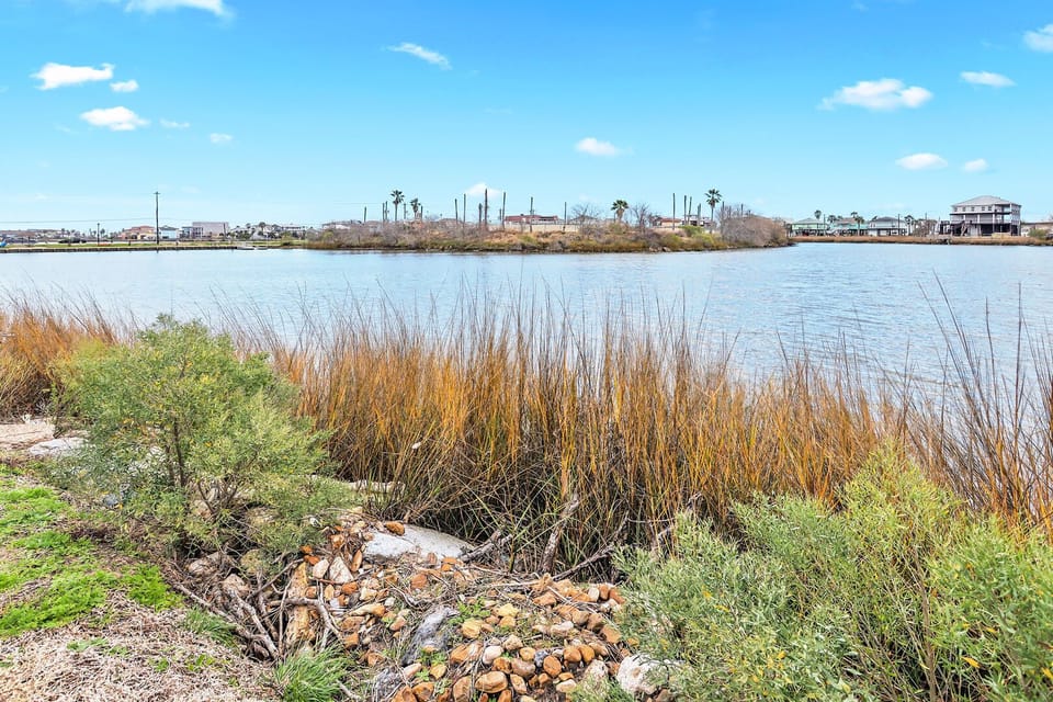 Miscellaneous