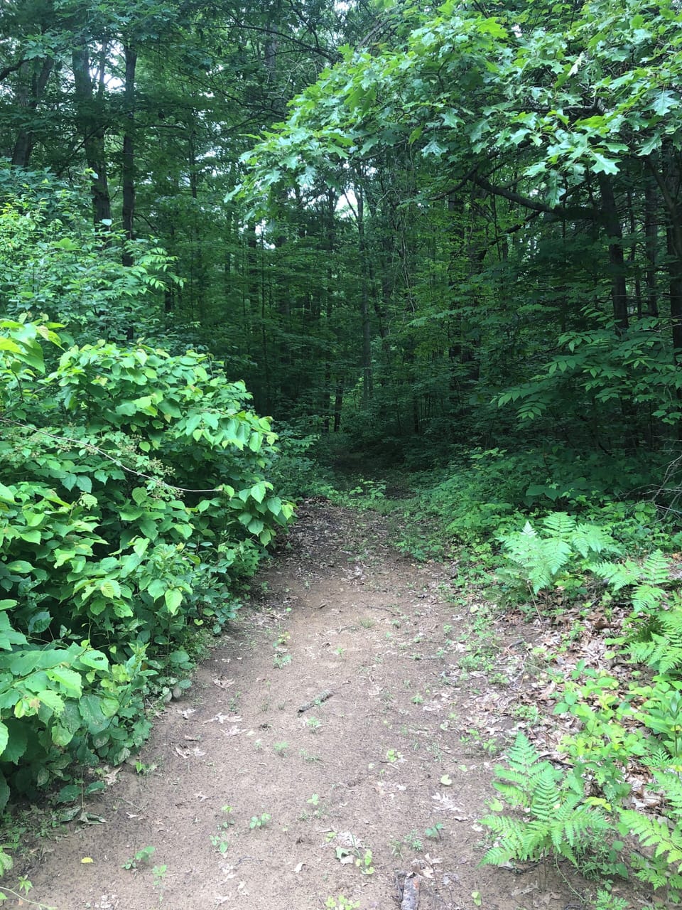 Private Walking Trails right in our backyard