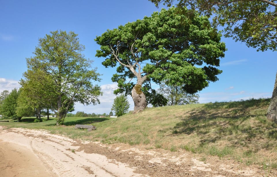area