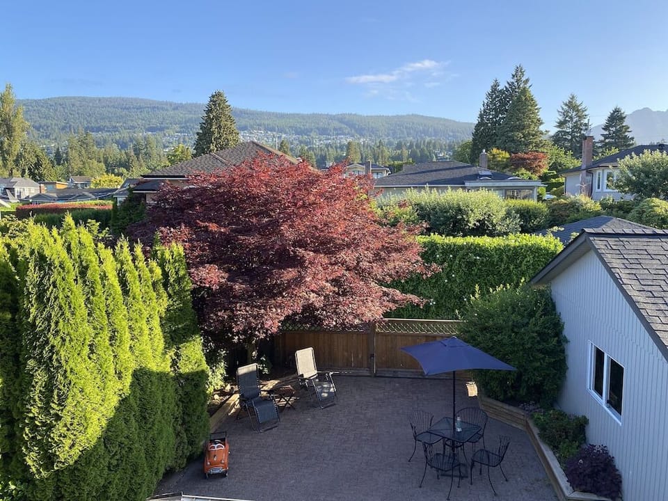 Back yard