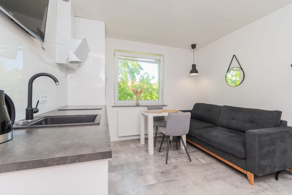Classic Apartment | 1 bedroom, iron/ironing board, free WiFi, bed sheets