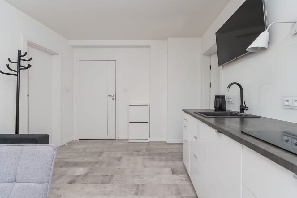 Classic Apartment | Private kitchen | Fridge, oven, stovetop, dishwasher