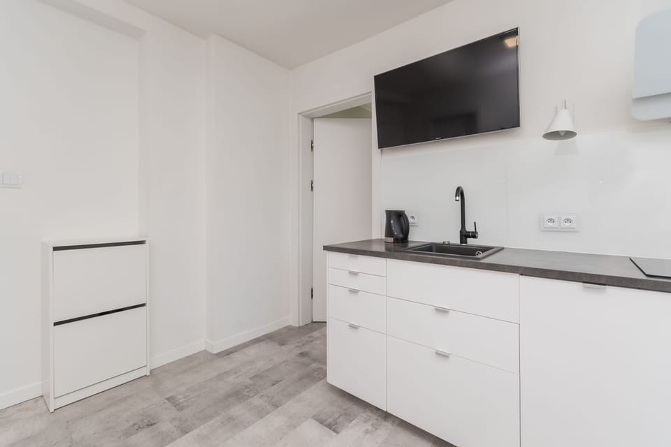 Classic Apartment | Private kitchen | Fridge, oven, stovetop, dishwasher