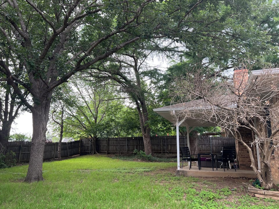 Backyard (with grill)