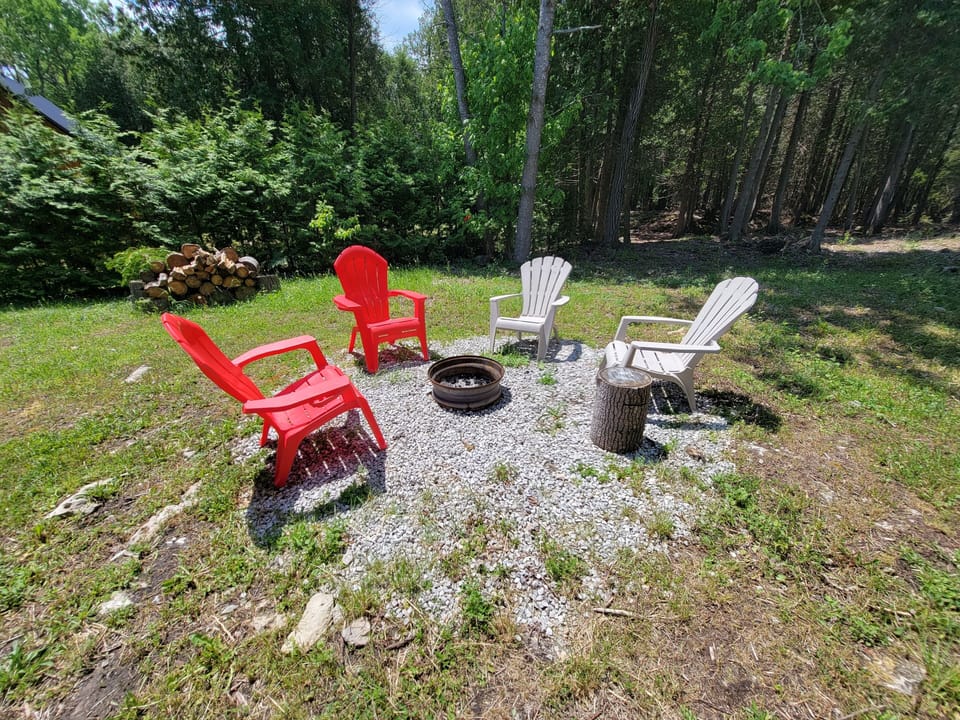 firepit with wooded forest