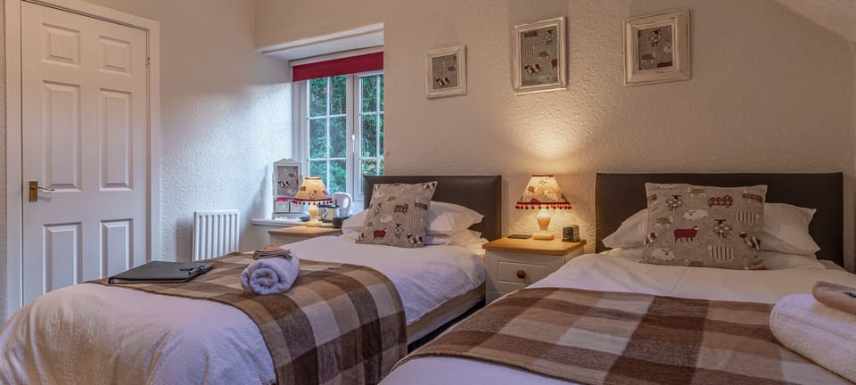 Superior Twin Room | Individually decorated, individually furnished, blackout drapes