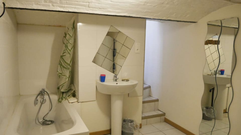 Very clean and healthy bathroom in the basement in this typical house, a little low ceiling so watch your head over 1m80!