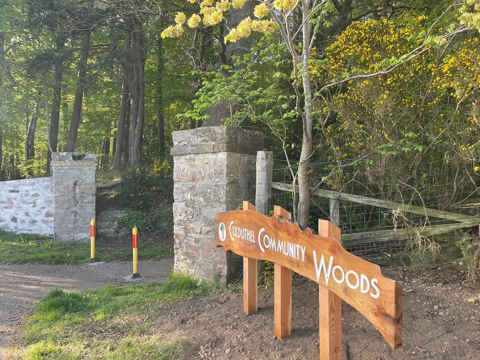 Nearby woodland walks (1)