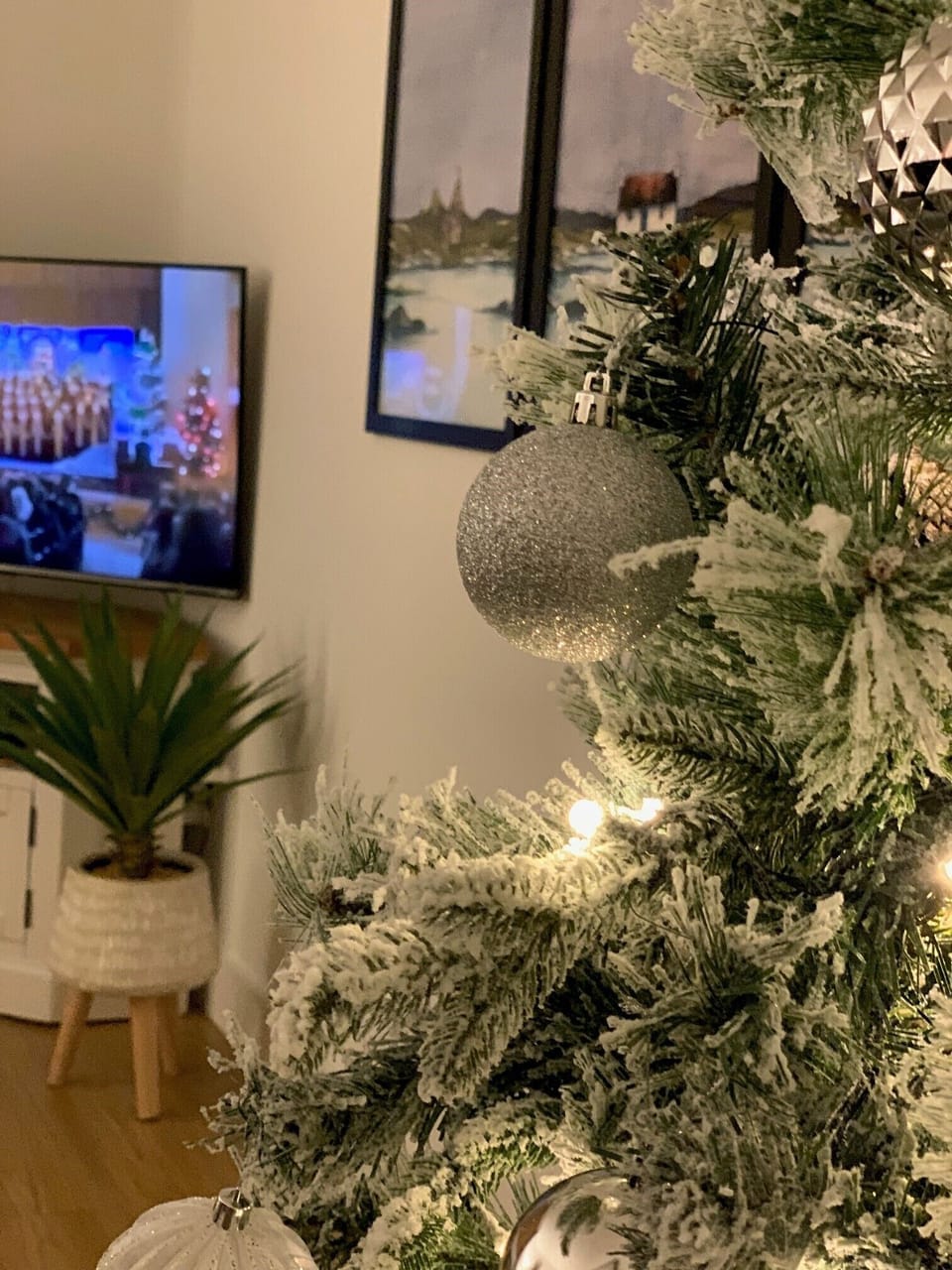 Christmas at Woodville (3)