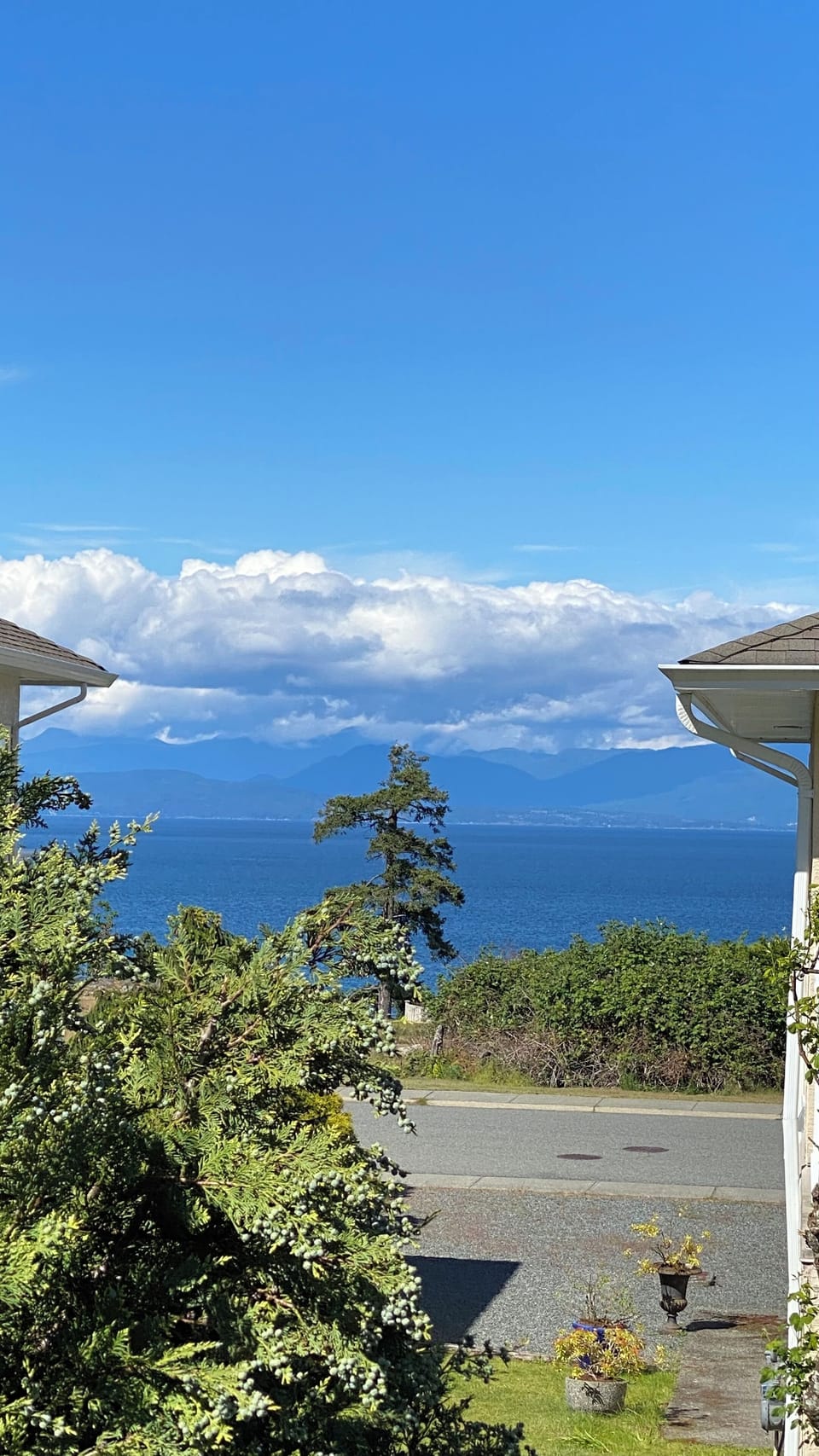 View from backyard
