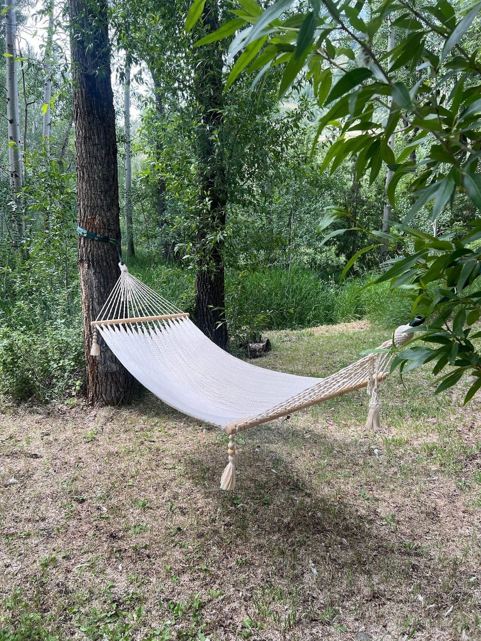 Beautiful hammocks placed around the grounds