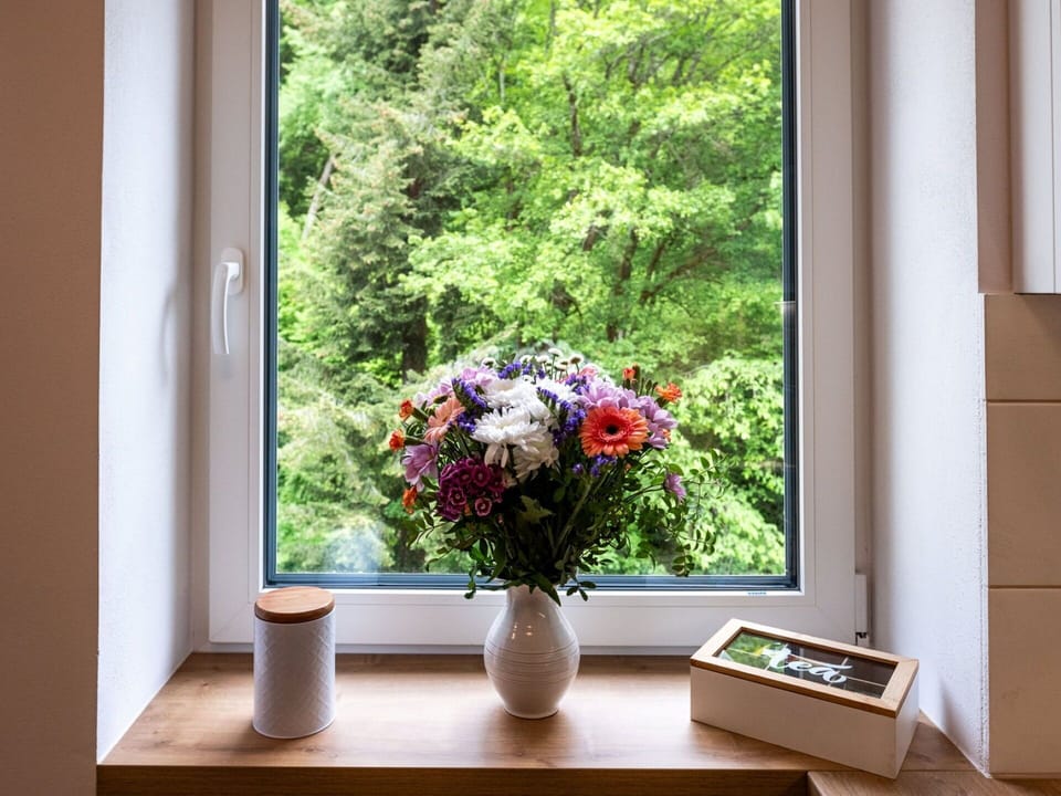Flower, Plant, Property, Flowerpot, Window, Vase, Wood, Interior Design, Rectangle, Floor