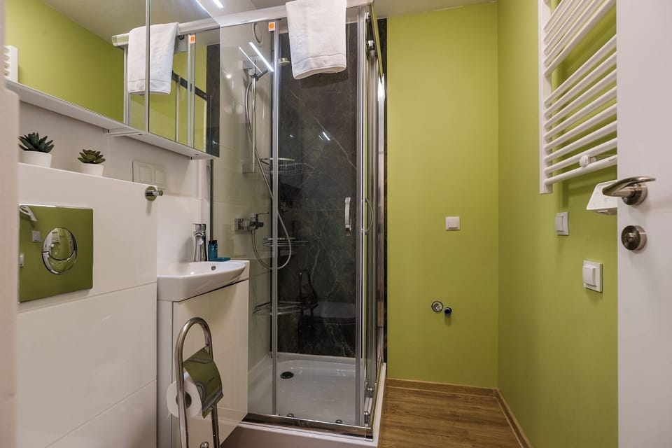 Classic Apartment, Park View | Bathroom